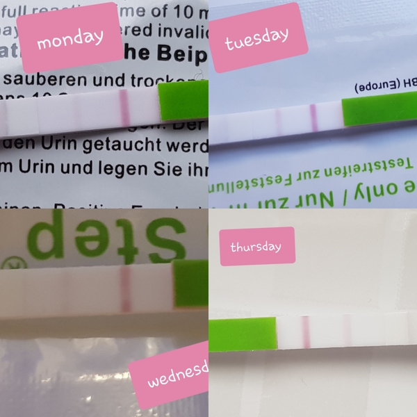 Starting again (CD1)