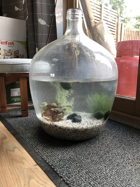 Aibu to ask how to clean this