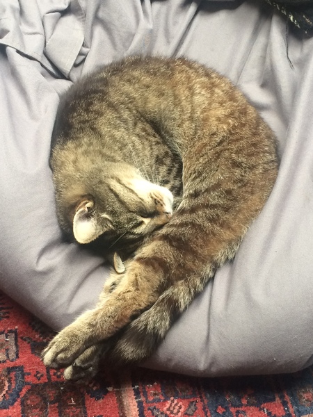 Someone didn't know the word 'Messiah'