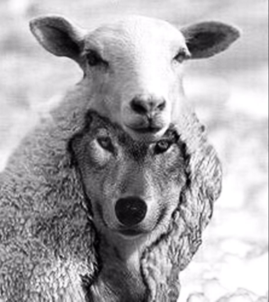 Can we stop being obedient soon, or will this coercion continue for evermore?