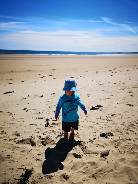 To clap my hands and skip about in a elephantine manner?