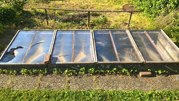 29th March "Grow your own" newcomers welcome here