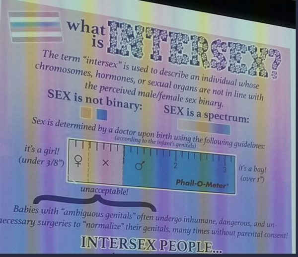 Network Autism thinks gender id develops in foetus (title edited by MNHQ)