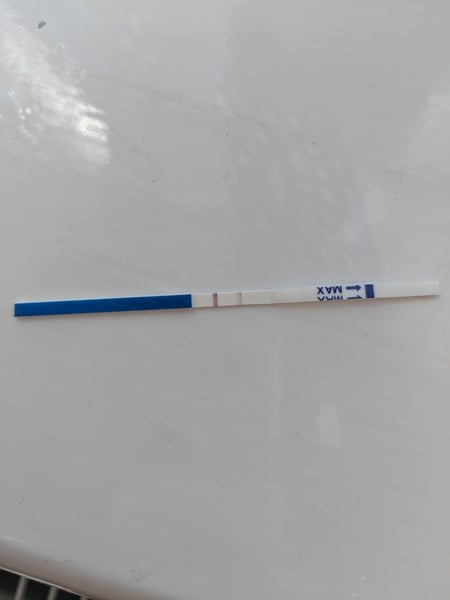 20 months ttc. Is this is?