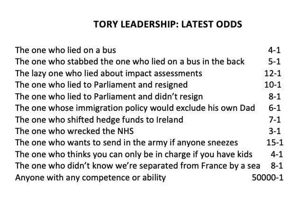 To ask is going to be next Tory leader?
