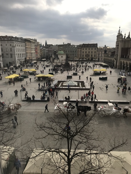 If Krakow is worth a visit?