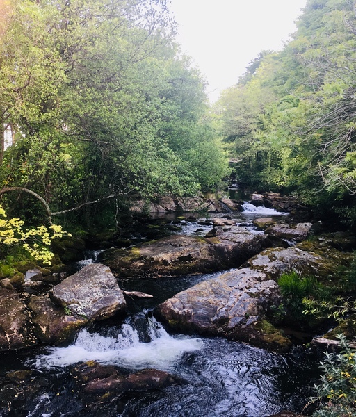 Any Witches Here? Part 8.