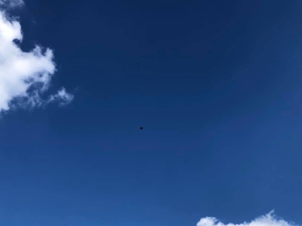 A warm woolly welcome to C2019! Chernobs ahoy!