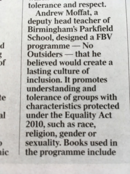 Janice Turner in The Times today ‘Milkshake Mob’