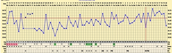 Trying to conceive first child with PCO/PCOS or irregular long cycles