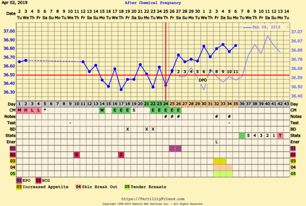 First Pregnancy Missed Miscarriage