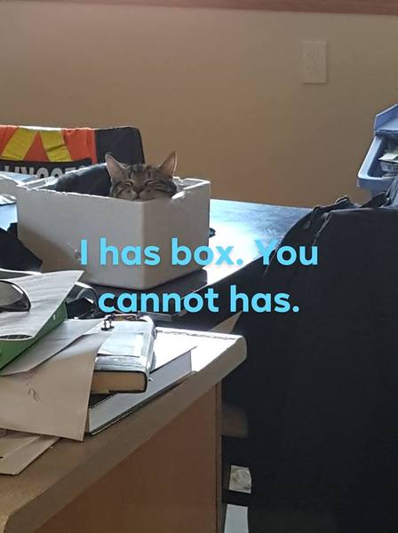 What's your DCat up to today? (Thread 7!)