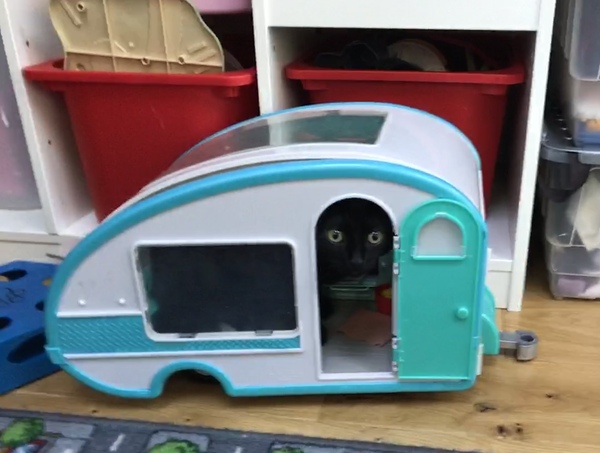 Look where I just found dkitten...