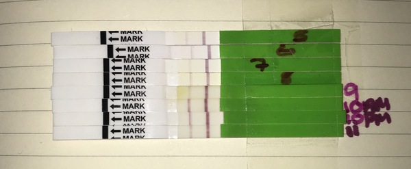 Is this a positive OPK?