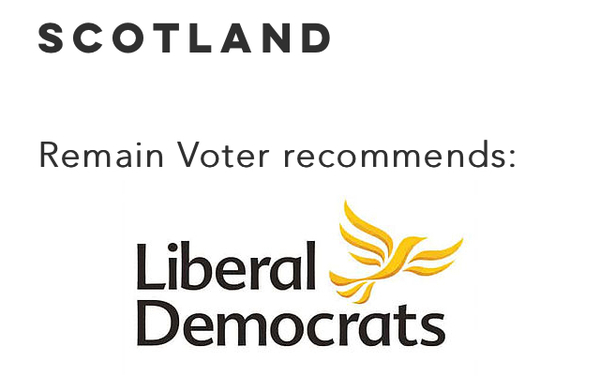 To want to know why there is no Remain Party
