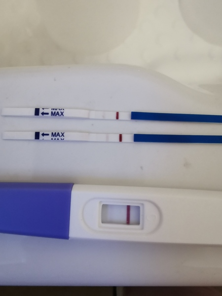 TWW for late April bfp