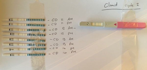 Clomid thread 2019
