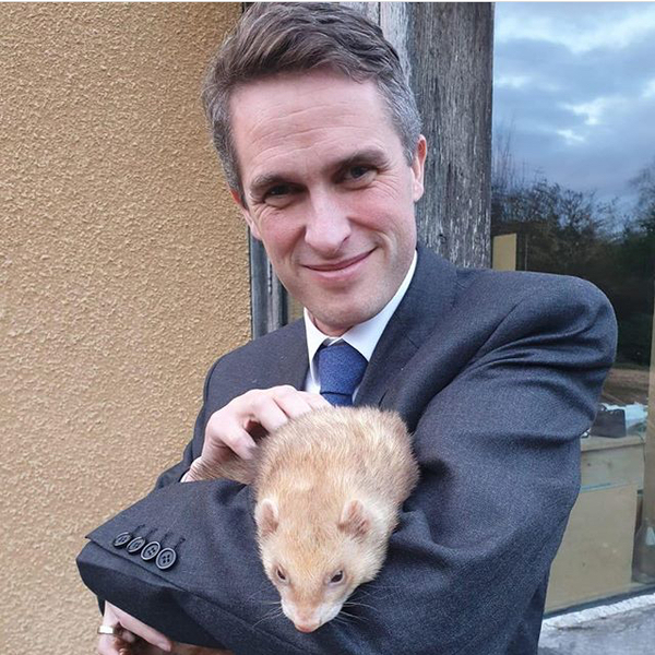 How wrong is it to have the raging horn for Gavin Williamson?