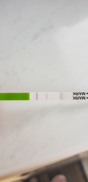 Starting again (CD1)