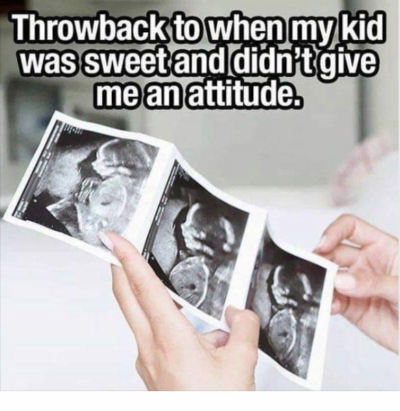 Please share your funny memes or pictures.