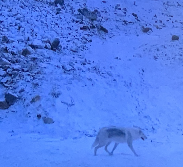 GAME OF THRONES: THE FINAL EPISODE. Monday 20th May. Spoilers after 2am.