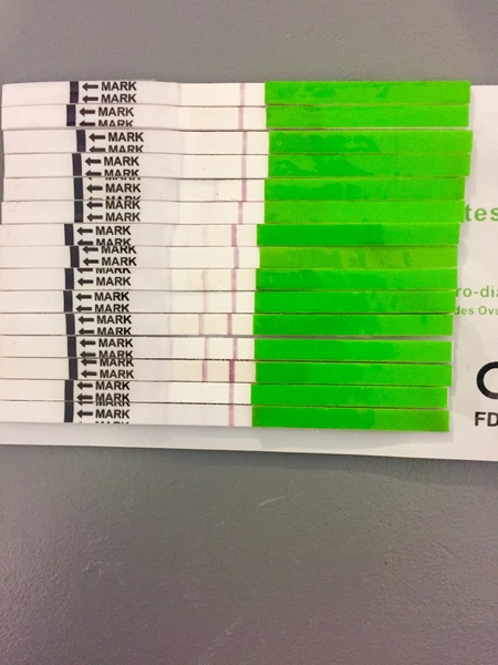 Can I see your opk line progression pictures please?