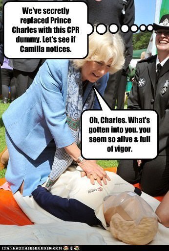 To find the royal family fascinating part 3
