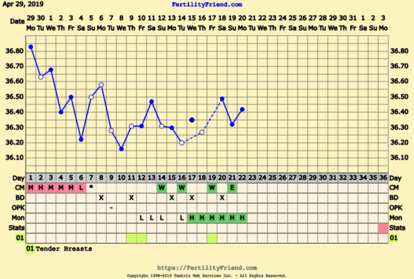 First Pregnancy Missed Miscarriage