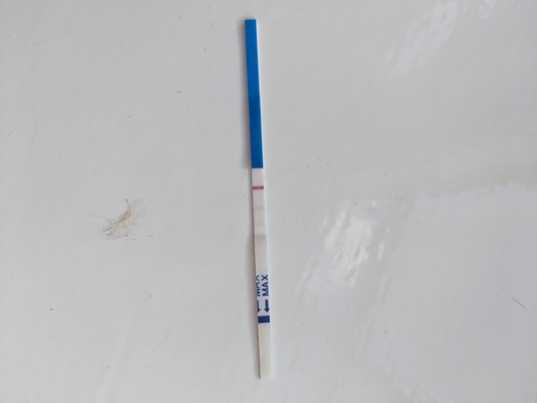 20 months ttc. Is this is?