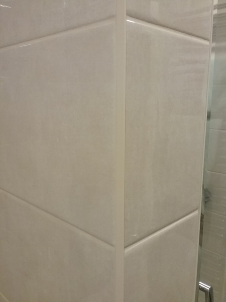 Am I being too fussy? Edging/trim on tiled niche