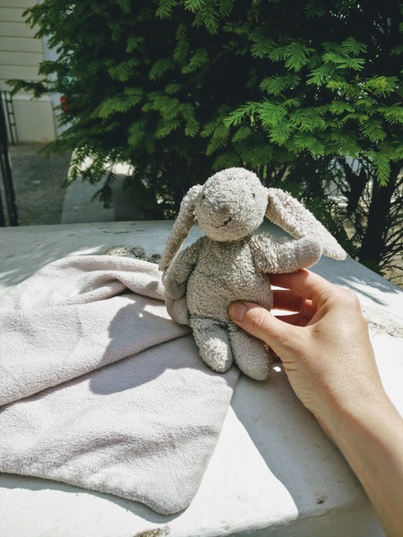Anyone lost a toy bunny in Richmond, SW London?