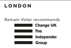 To want to know why there is no Remain Party
