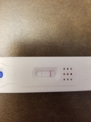 Faint Pregnancy Test?