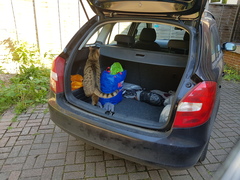 Next door's -thug- cat