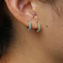 Maria Tash style earrings