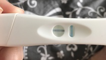 Line eyes - 10dpo