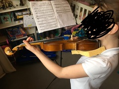 Violin chin rest