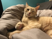 Help me name this kitty!