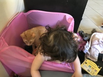 Help me name this kitty!