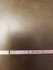 Faint Pregnancy Test?