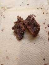 OK. We’ve had live birth threads. This is a live brownie thread.