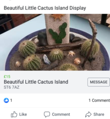 The shittest thing I've ever seen for sale on Facebook for £15