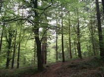Where is the most beautiful nature place you’ve been in the uk?