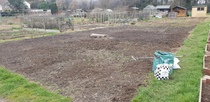 Allotment/Veg Patch Thread 14 ! growing into summer