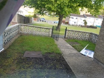 What to do with these spaces - Gardening Beginner (Pics Attached)