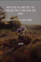 Any Witches Here? Part 8.