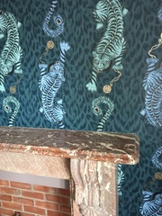 Who has used f&b Inchyra Blue??