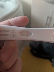 BFP - Due Jan 2020