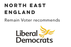 To want to know why there is no Remain Party