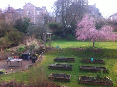 Westminstenders: Local Elections Madness